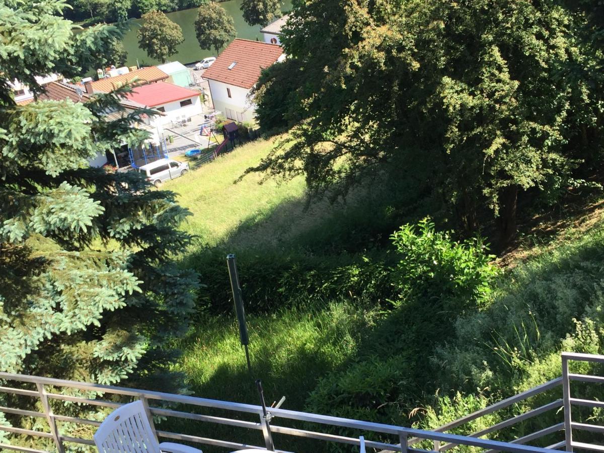 Appartamento Luftkurort, Perle Des Neckartals Hirschhorn Esterno foto