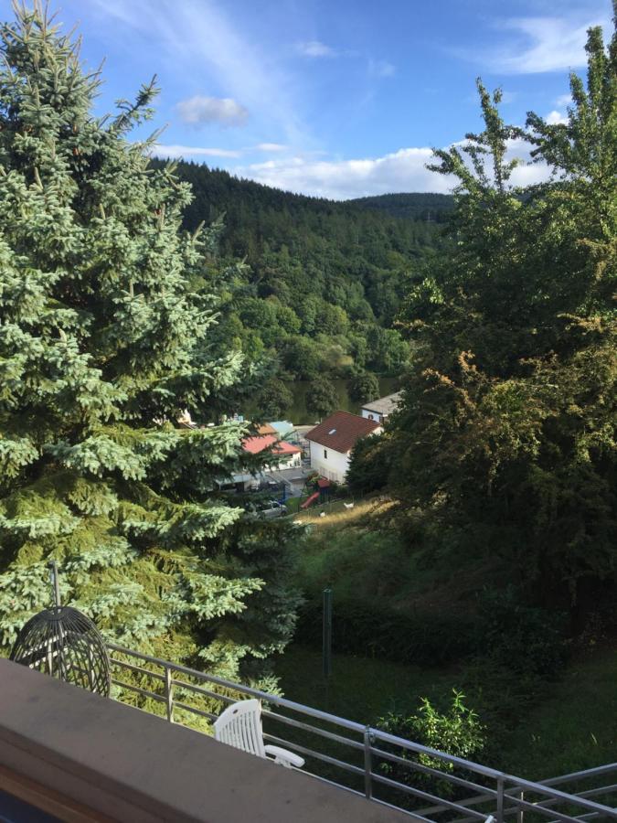 Appartamento Luftkurort, Perle Des Neckartals Hirschhorn Esterno foto