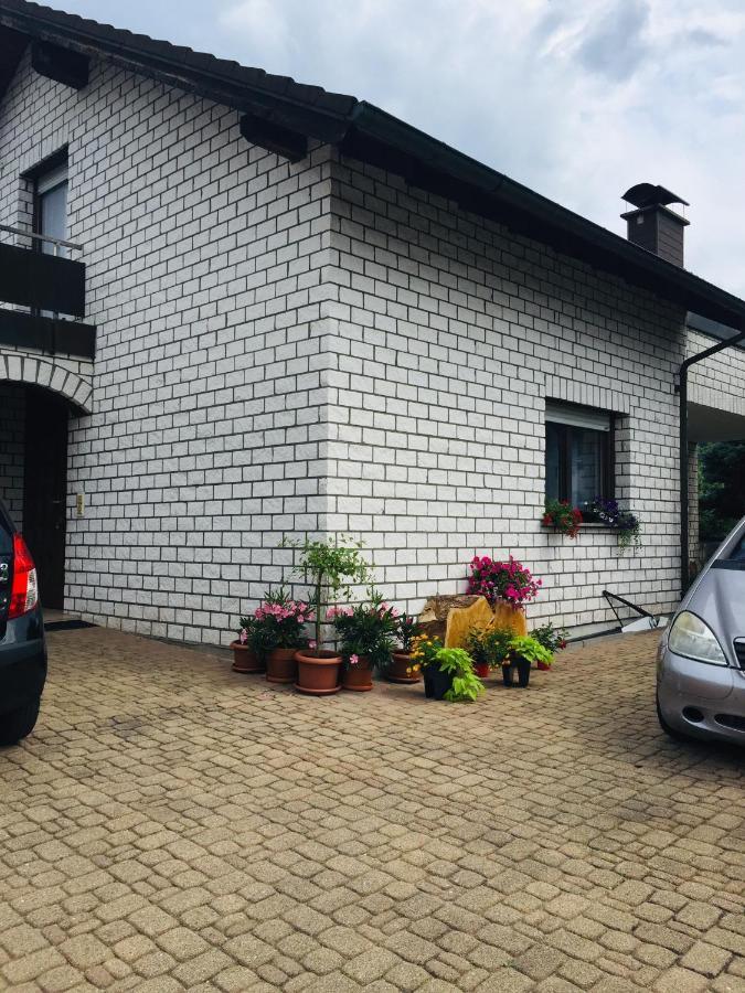Appartamento Luftkurort, Perle Des Neckartals Hirschhorn Esterno foto