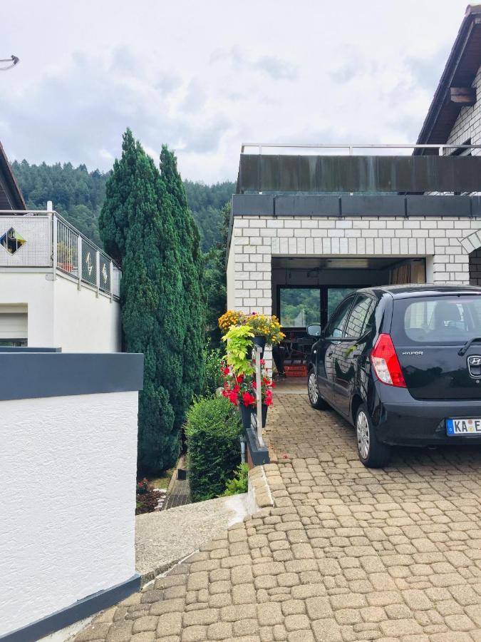 Appartamento Luftkurort, Perle Des Neckartals Hirschhorn Esterno foto