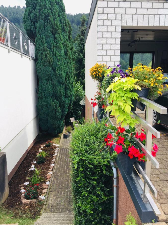 Appartamento Luftkurort, Perle Des Neckartals Hirschhorn Esterno foto