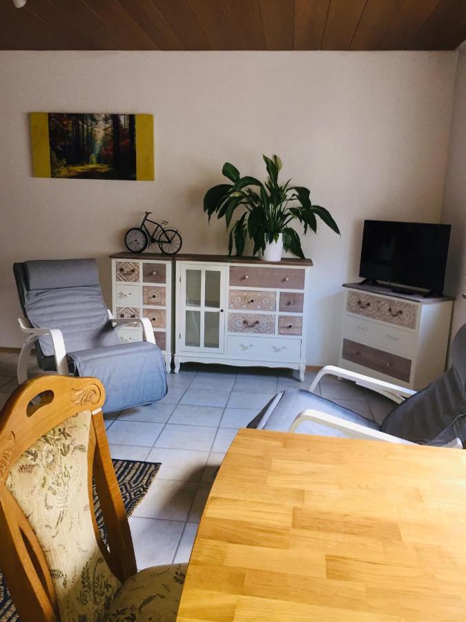 Appartamento Luftkurort, Perle Des Neckartals Hirschhorn Esterno foto