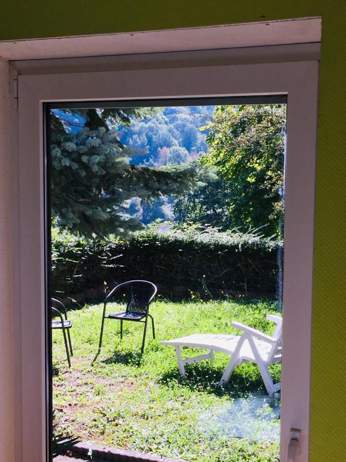 Appartamento Luftkurort, Perle Des Neckartals Hirschhorn Esterno foto
