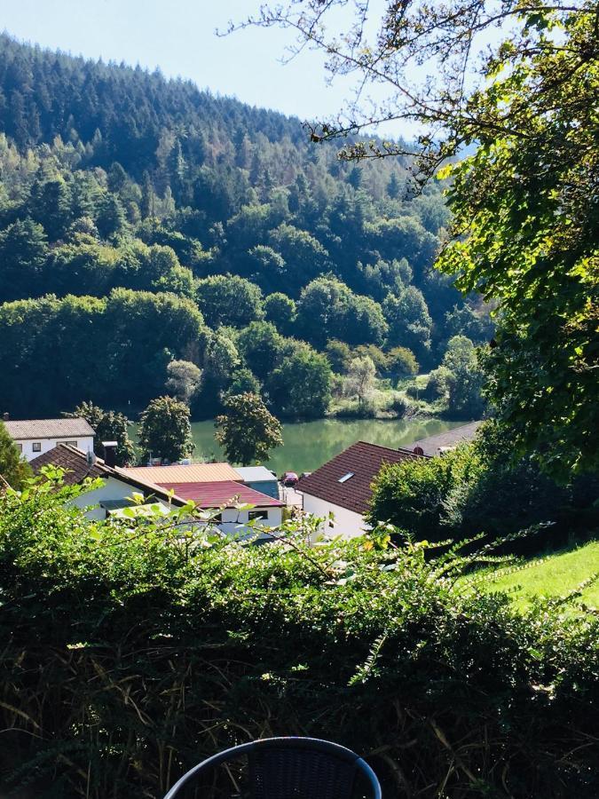 Appartamento Luftkurort, Perle Des Neckartals Hirschhorn Esterno foto