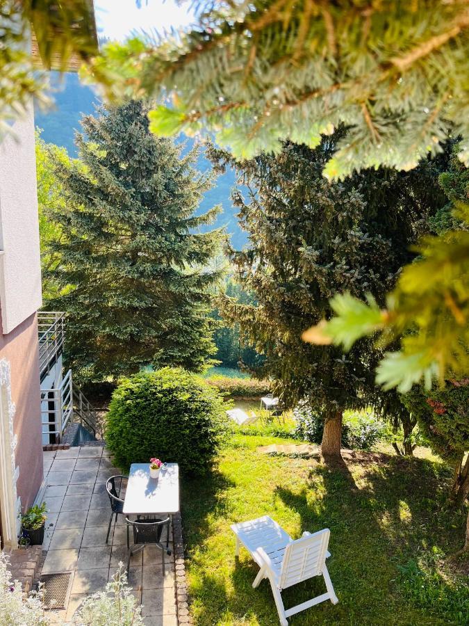 Appartamento Luftkurort, Perle Des Neckartals Hirschhorn Esterno foto