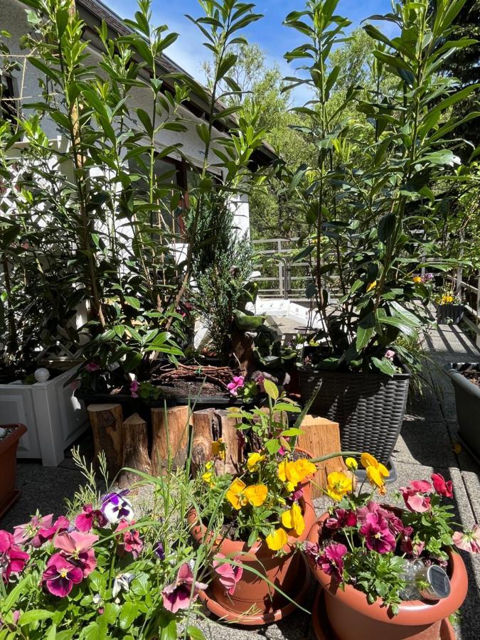 Appartamento Luftkurort, Perle Des Neckartals Hirschhorn Esterno foto